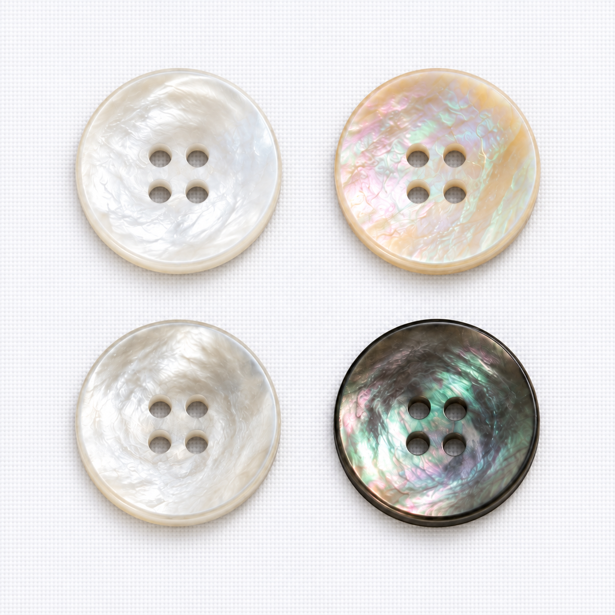 Mother-of-pearl & shell / Top-view illustrative display